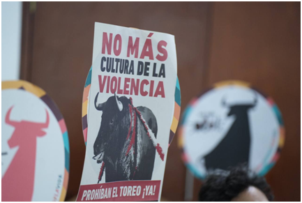 Debate en el Congreso de Hidalgo por prohibición de corridas de toros sigue sin acuerdo imagen destacada