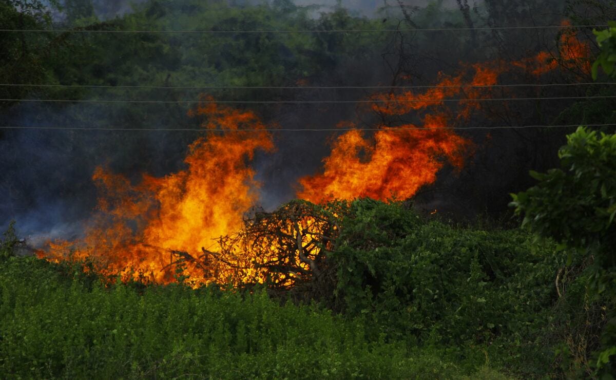 Hidalgo en alerta extrema por riesgo de incendios forestales imagen destacada