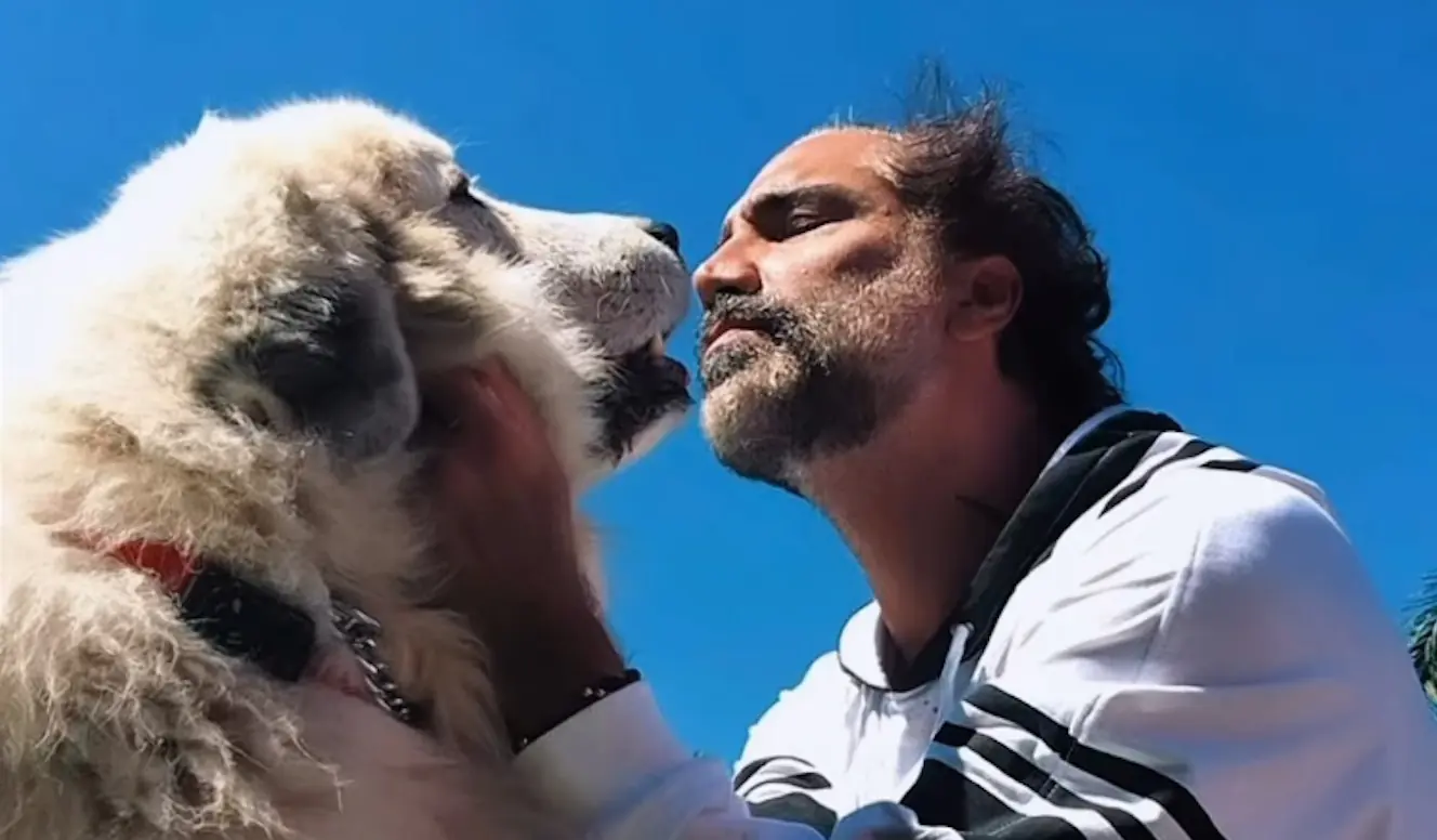 Fallece mascota consentida de Alejandro Fernández imagen destacada