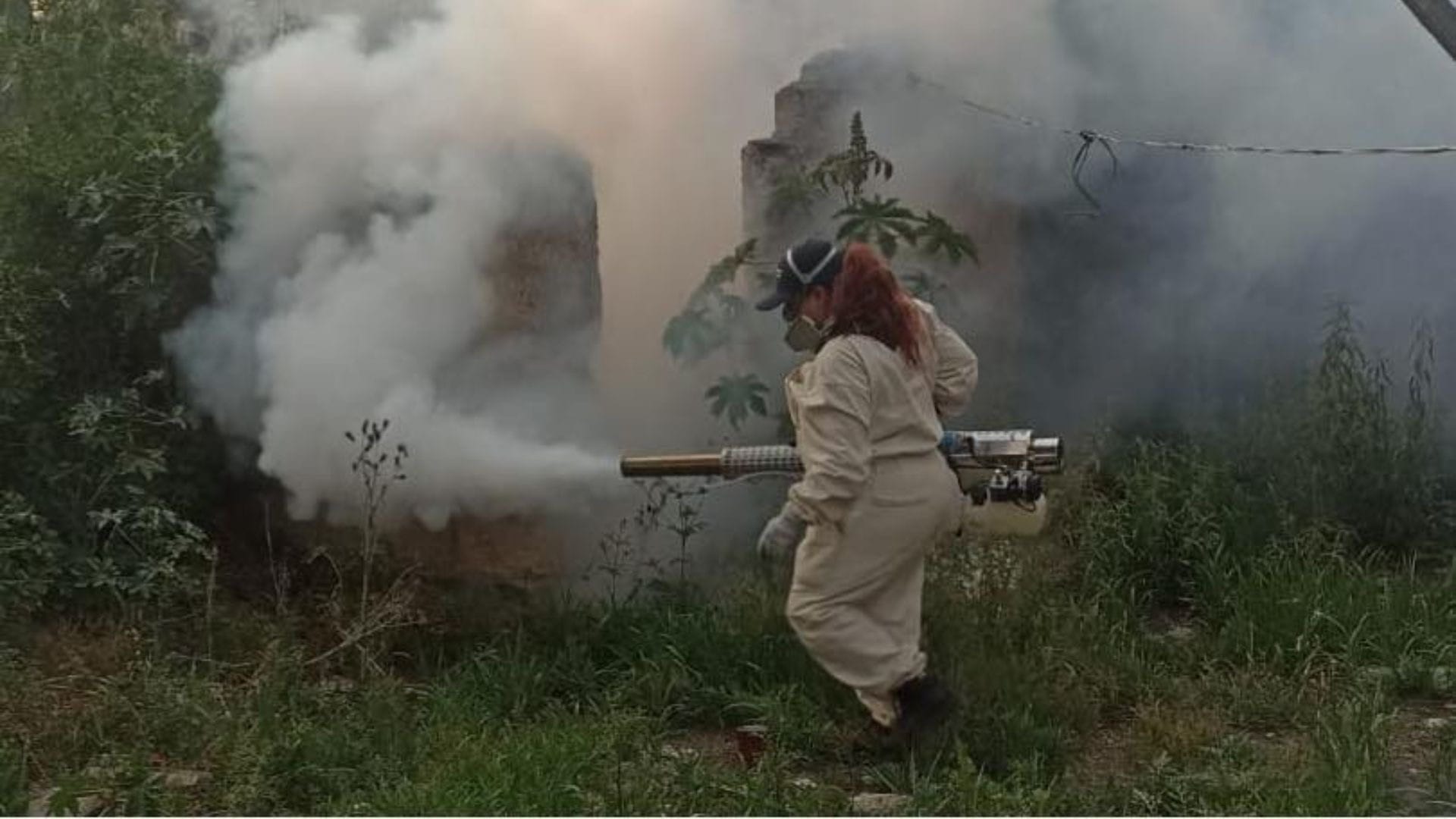 Amplían fumigación en comunidades de la presa Endhó para combatir mosquito cúlex y lirio acuático imagen destacada