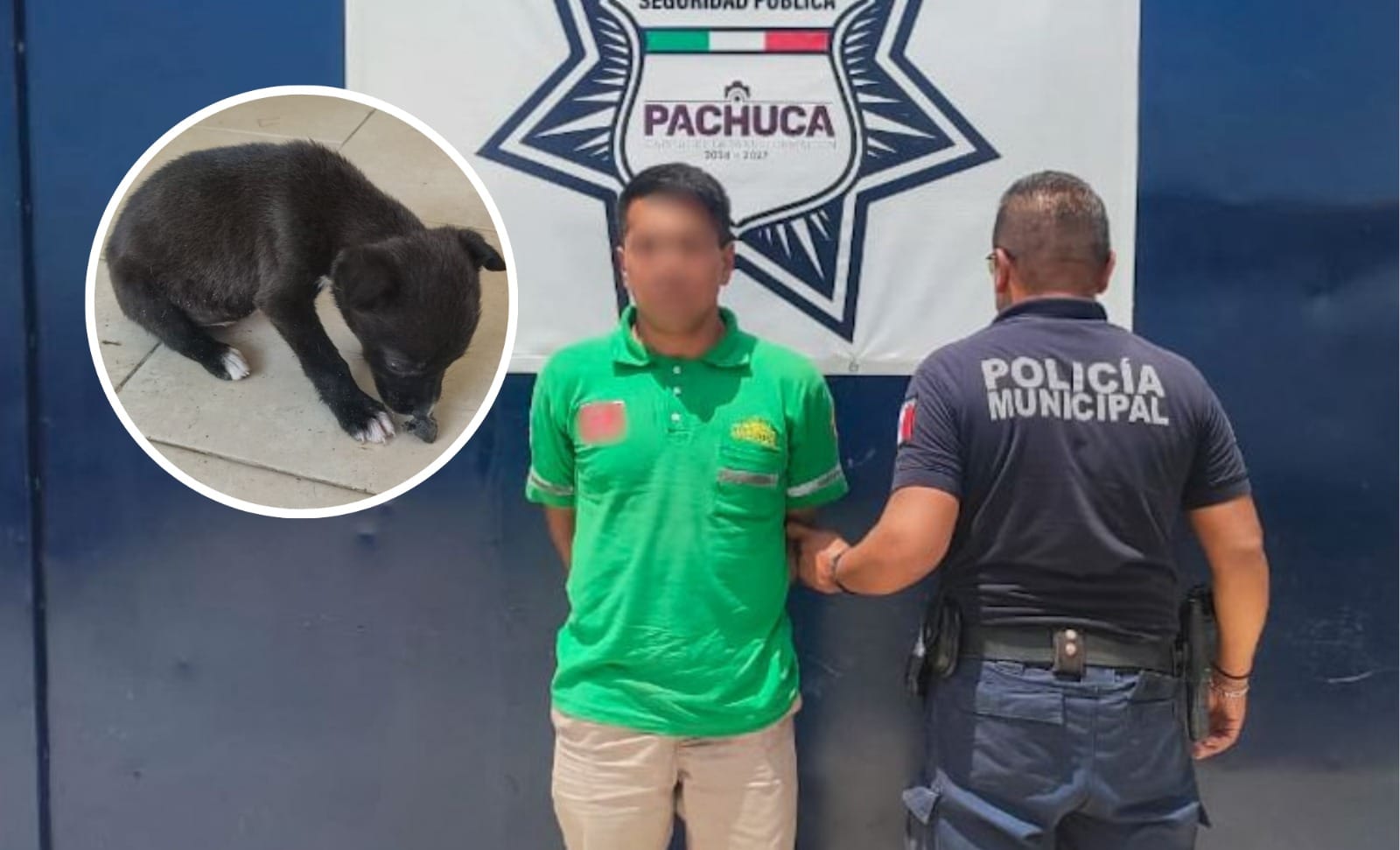 Detienen a hombre por presunto maltrato animal en Pachuca imagen destacada