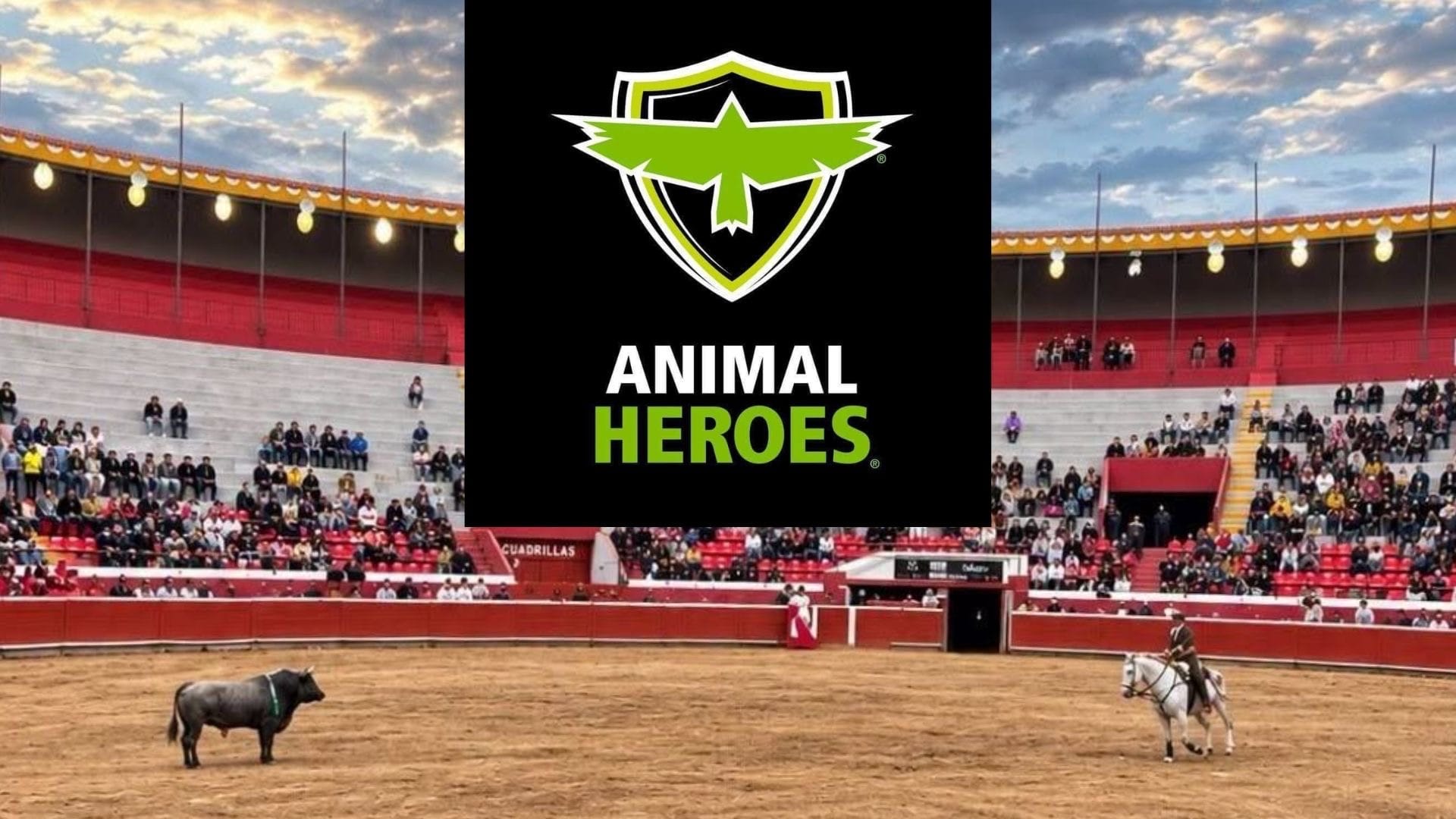 Entrevista: Animal Heroes impugna corridas de toros en Tlahuelilpan; juez niega suspensión imagen destacada