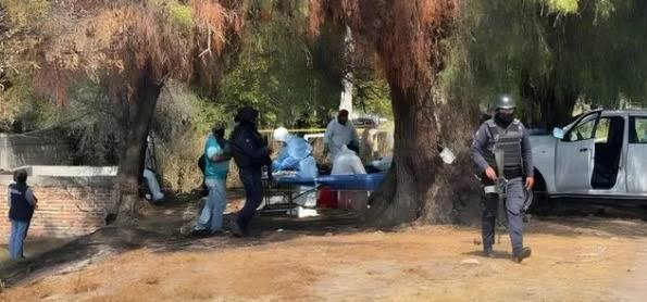 Peritajes revelan que una de las víctimas de la fosa en Texas tenía un año sin vida imagen destacada
